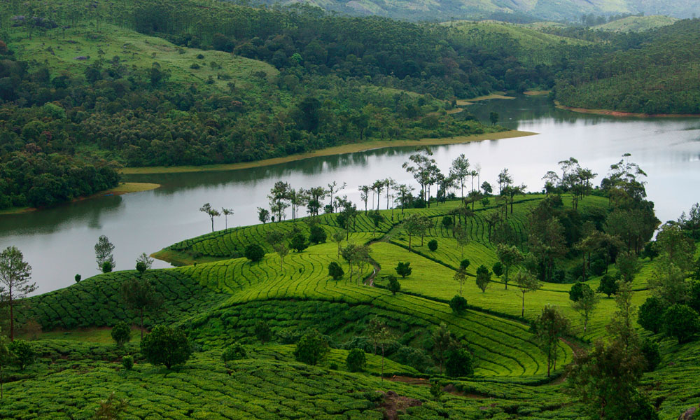 Munnar