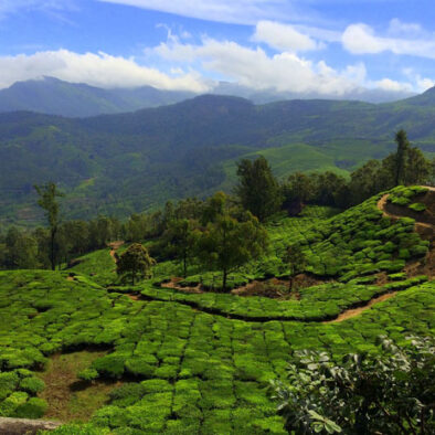 Munnar