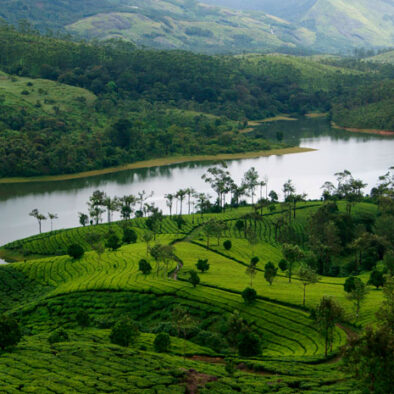 Munnar hill station