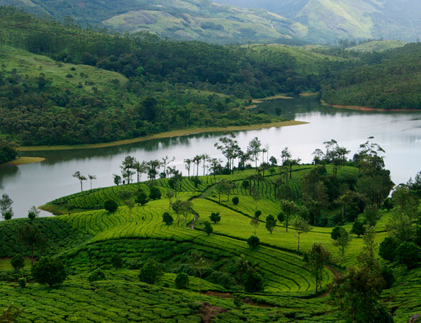 Munnar hill station