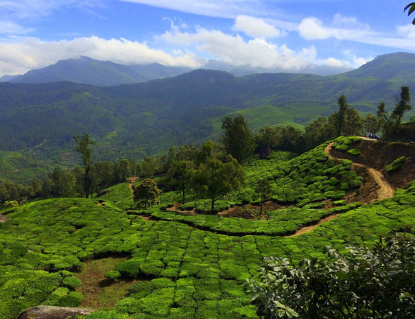 Munnar Honeymoon Package (3D/2N) – Winternote Munnar – Your Perfect ...