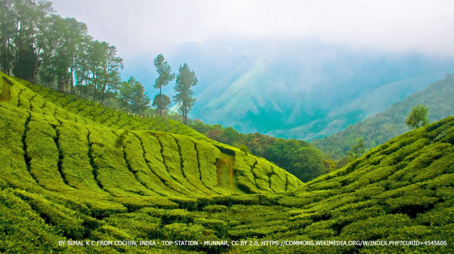 Munnar Hill Station