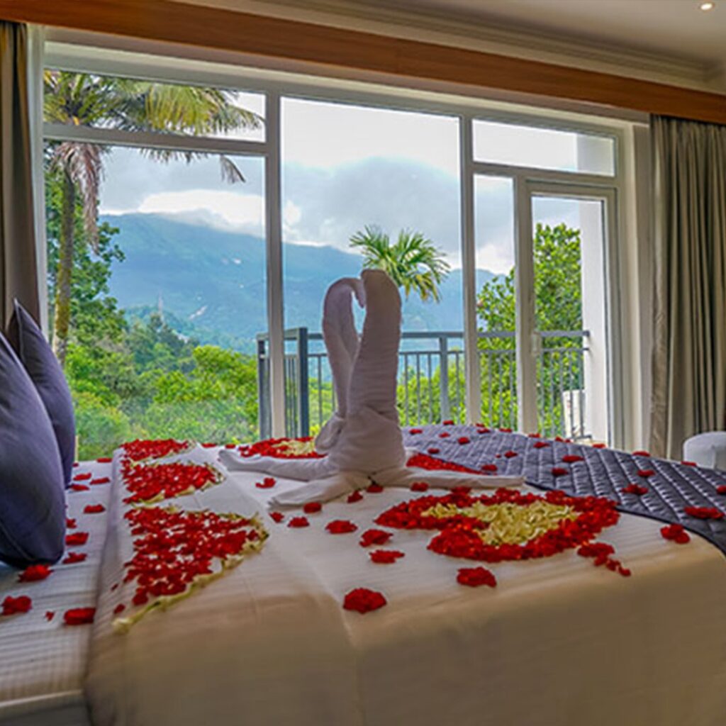 Honeymoon Resort in Munnar