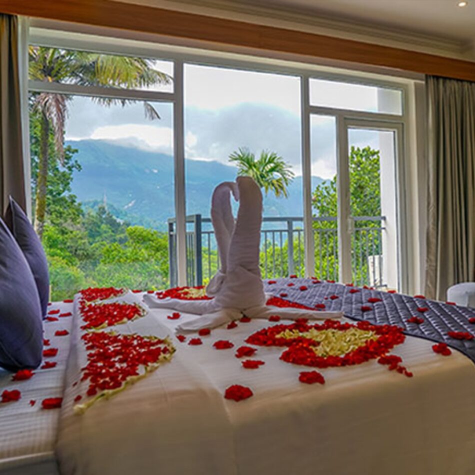 Honeymoon Resort in Munnar